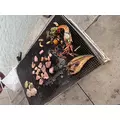むぎ|高知市 帯屋町のキャバクラ|LUCIA(ルチア)