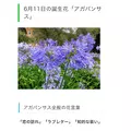 れいか|川越市 本川越のガールズバー|Lily(リリー)