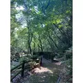 るな|鹿児島市 山之口町のキャバクラ|HANARE(ハナレ)