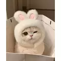 ふたば|葛飾区 新小岩のキャバクラ|MARVELOUS(マーベラス)