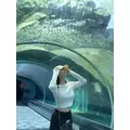 三鷹 真綺|札幌市 すすきののニュークラブ|P&J(ピーアンドジェイ)