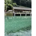 あんな|鹿児島市 山之口町のガールズバー|ffany(ファニー)