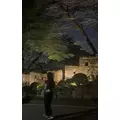 ララ|長崎市 銅座町のキャバクラ|QUEEN(クイーン)