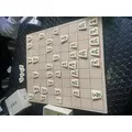 ゆき|佐世保市 塩浜町のキャバクラ|CONNEXION(コネクション)