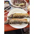 柊 まりん|札幌市 すすきののニュークラブ|Fillia(フィリア)