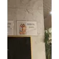 はる|渋谷区 宇田川町のキャバクラ|BABEL(バベル)