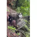 ジュナ|さいたま市 大宮区仲町のキャバクラ|ai(アイ)