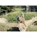 みつき|長崎市 本石灰町のキャバクラ|AERA(アエラ)