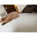 美波 あいか|札幌市 すすきののニュークラブ|Fillia(フィリア)