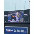 さやか|船橋市 本町のキャバクラ|Donfin(ドンフィン)