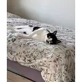 黒川 すみれ|札幌市 中央区南のニュークラブ|Leicester(レスター)