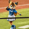 杉谷 ちなみ|札幌市 すすきののニュークラブ|P&J(ピーアンドジェイ)