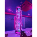 さき|小田原市 栄町のガールズバー|& Co.(アンドコー)