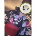 ありさ|茅ヶ崎市 新栄町のキャバクラ|TIANOS(ティアノス)