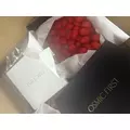 紬 むぎ|札幌市 すすきののニュークラブ|P&J(ピーアンドジェイ)