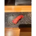 あおい|船橋市 本町のキャバクラ|Donfin(ドンフィン)