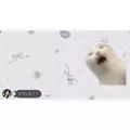みお|熊本市 中央区下通のコンカフェ|Candy Made(キャンディーメイド)