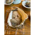 ふうか|船橋市 本町のキャバクラ|Donfin(ドンフィン)