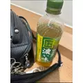 空条 しいな|札幌市 すすきののニュークラブ|P&J(ピーアンドジェイ)