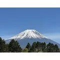りか|越谷市 南越谷のキャバクラ|Ammon(アモン)