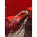 のあ|大阪市 中央区難波のガールズバー|焼肉とバニーガール(ヤキニクトバニーガール)