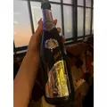 美波 ななみ|札幌市 すすきののニュークラブ|Fillia(フィリア)