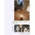 ひなの|松戸市 本町のキャバクラ|THEMIS(テミス)
