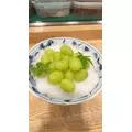 雨音 なな|浜松市 中央区千歳町のラウンジ|Dal Segno(ダルセーニョ)