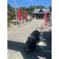 あいら|豊橋市 松葉町のキャバクラ|Club the Club(クラブザクラブ)