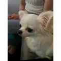滝宮 あや|名古屋市 中区錦のクラブ|色錦()