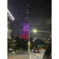 すず|船橋市 本町のキャバクラ|Donfin(ドンフィン)