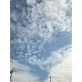 エミ （スタッフ）|海部郡 蟹江町錦のキャバクラ|carthago(カルタゴ)