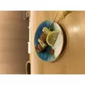 ゆか|新宿区 歌舞伎町のラウンジ|:(コロン)