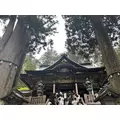 さつき|北足立郡 伊奈町内宿台のキャバクラ|星-Star-(スター)