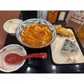 うみ|足立区 千住のキャバクラ|Donfin(ドンフィン)