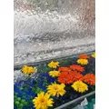 あみ|長崎市 銅座町のガールズバー|G291(ジーニクイチ)