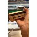 しほ|都城市 牟田町のキャバクラ|Jardin(ハルディン)