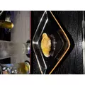 ゆうな|長崎市 銅座町のキャバクラ|QUEEN(クイーン)