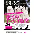 みこ|福岡市 博多区中洲のキャバクラ|ROYALE(ロワイヤル)