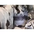 るな|佐世保市 塩浜町のキャバクラ|CONNEXION(コネクション)
