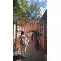 ラム|さいたま市 大宮区仲町のキャバクラ|ai(アイ)