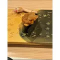 空条 しいな|札幌市 すすきののニュークラブ|P&J(ピーアンドジェイ)