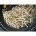 恋麦乃 ちょり|宮崎市 中央通のコンカフェ|Candy Made(キャンディーメイド)