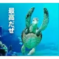 天龍 もも|名古屋市 中区錦のクラブ|色錦()