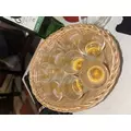さつき|北足立郡 伊奈町内宿台のキャバクラ|星-Star-(スター)