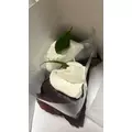 しほ|都城市 牟田町のキャバクラ|Jardin(ハルディン)
