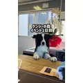 みこ|福岡市 博多区中洲のキャバクラ|ROYALE(ロワイヤル)