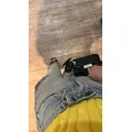 しほ|都城市 牟田町のキャバクラ|Jardin(ハルディン)