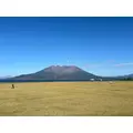 椿|都城市 牟田町のキャバクラ|Jardin(ハルディン)