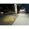 華宮 りりあ|札幌市 すすきののニュークラブ|Fillia(フィリア)